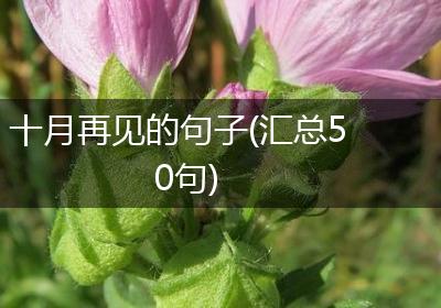 十月再见的句子(汇总50句)