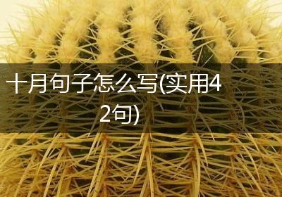 十月句子怎么写(实用42句)
