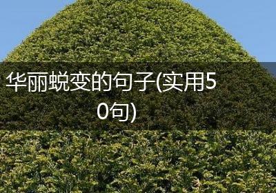 华丽蜕变的句子(实用50句)