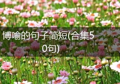 博喻的句子简短(合集50句)