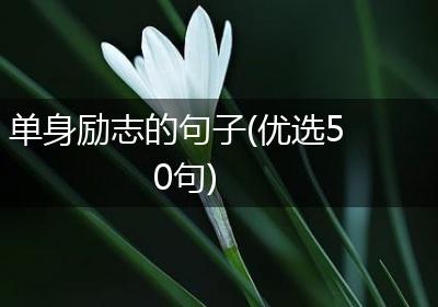 单身励志的句子(优选50句)