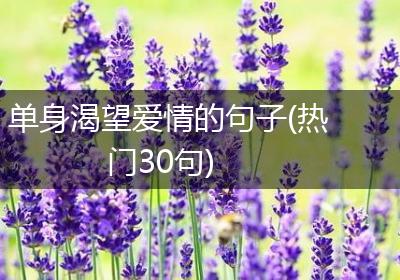 单身渴望爱情的句子(热门30句)