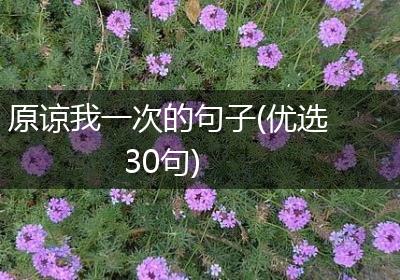 原谅我一次的句子(优选30句)