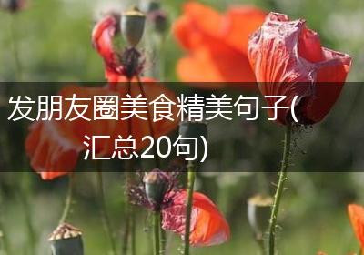 发朋友圈美食精美句子(汇总20句)