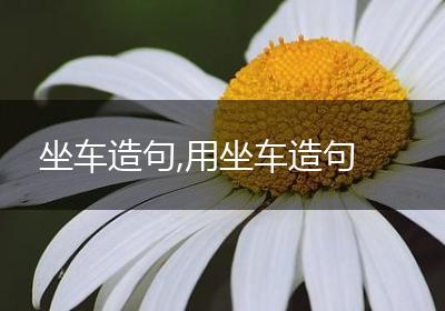 坐车造句,用坐车造句