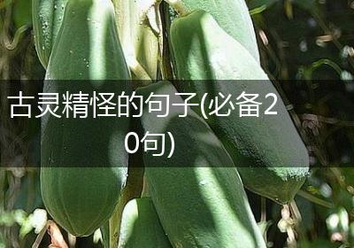 古灵精怪的句子(必备20句)