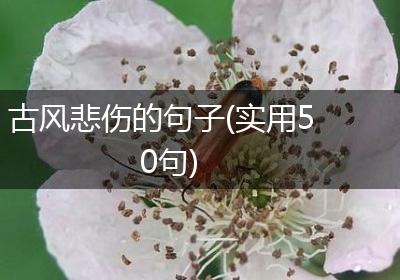 古风悲伤的句子(实用50句)