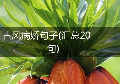 古风病娇句子(汇总20句)