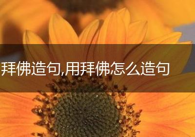 拜佛造句,用拜佛怎么造句