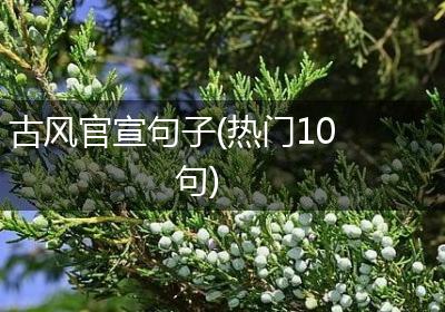 古风官宣句子(热门10句)