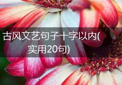 古风文艺句子十字以内(实用20句)