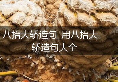 八抬大轿造句_用八抬大轿造句大全