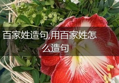 百家姓造句,用百家姓怎么造句