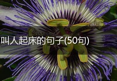 叫人起床的句子(50句)