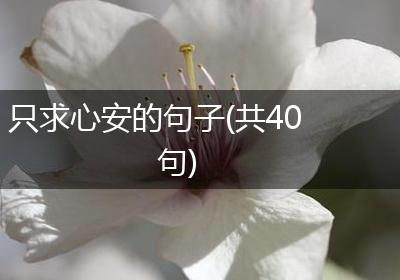 只求心安的句子(共40句)