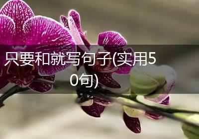 只要和就写句子(实用50句)