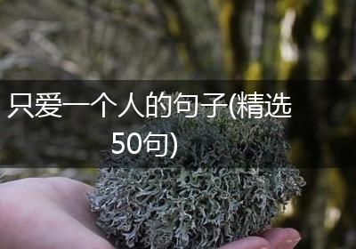 只爱一个人的句子(精选50句)