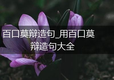 百口莫辩造句_用百口莫辩造句大全