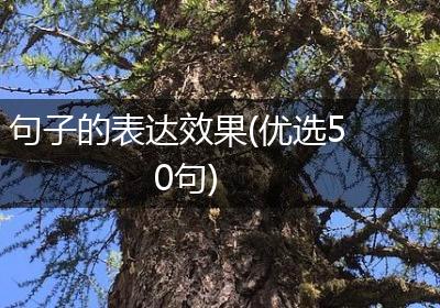 句子的表达效果(优选50句)