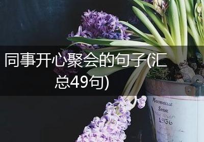 同事开心聚会的句子(汇总49句)
