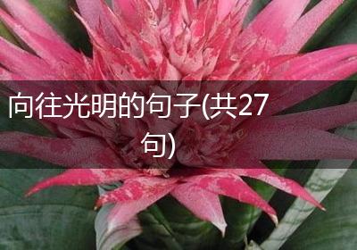 向往光明的句子(共27句)