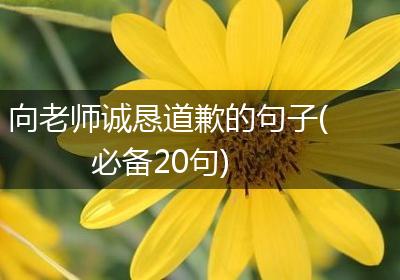 向老师诚恳道歉的句子(必备20句)