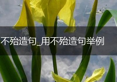 不殆造句_用不殆造句举例