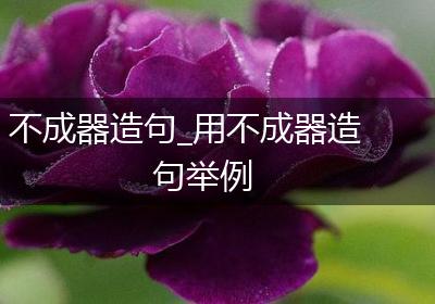 不成器造句_用不成器造句举例