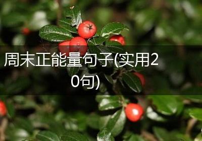 周末正能量句子(实用20句)