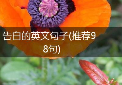 告白的英文句子(推荐98句)