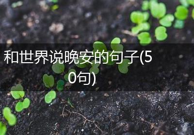 和世界说晚安的句子(50句)