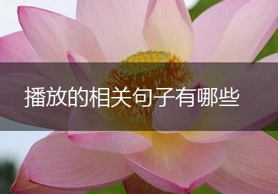 播放的相关句子有哪些