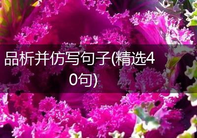 品析并仿写句子(精选40句)