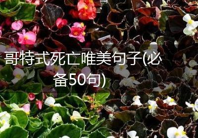 哥特式死亡唯美句子(必备50句)