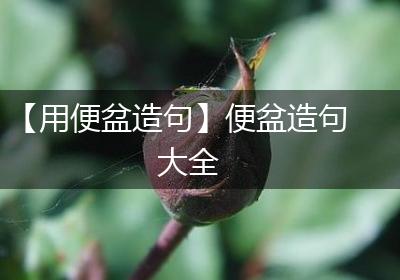 【用便盆造句】便盆造句大全