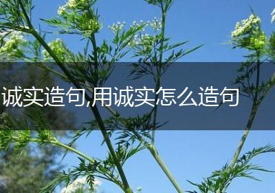 诚实造句,用诚实怎么造句