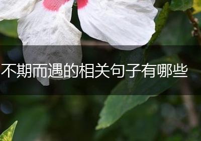 不期而遇的相关句子有哪些
