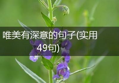 唯美有深意的句子(实用49句)