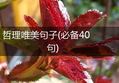 哲理唯美句子(必备40句)
