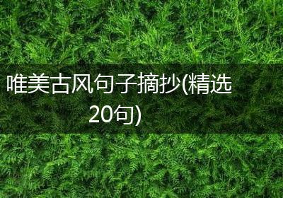 唯美古风句子摘抄(精选20句)
