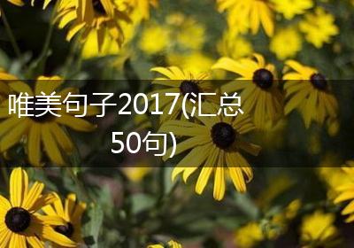 唯美句子2017(汇总50句)