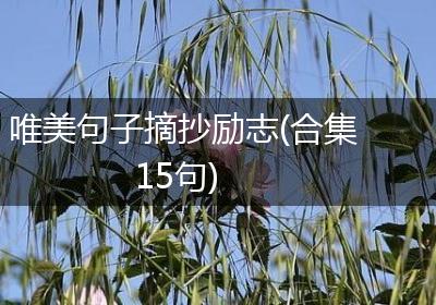 唯美句子摘抄励志(合集15句)