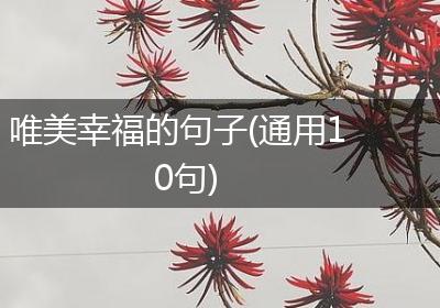 唯美幸福的句子(通用10句)