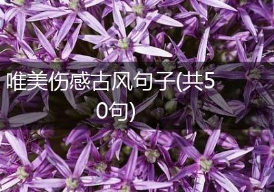 唯美伤感古风句子(共50句)
