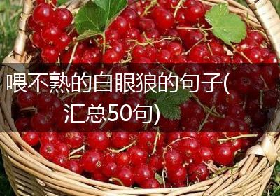喂不熟的白眼狼的句子(汇总50句)
