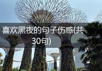 喜欢黑夜的句子伤感(共30句)