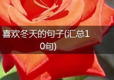 喜欢冬天的句子(汇总10句)