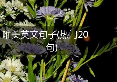 唯美英文句子(热门20句)