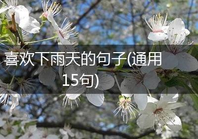 喜欢下雨天的句子(通用15句)