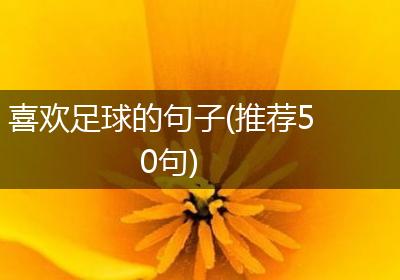 喜欢足球的句子(推荐50句)